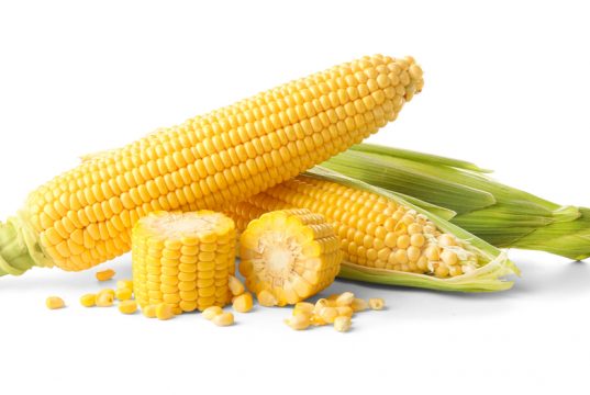 corn