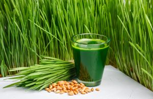 wheatgrass
