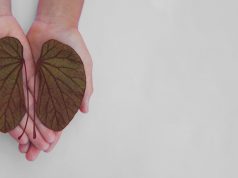 Penyakit Ginjal Kronis : Penyebab, Gejala, dan Penanganannya ginjal 2