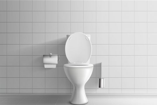 Kloset Duduk atau Kloset Jongkok