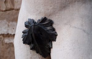 Mengenal Kelainan Hipospadia.jpg