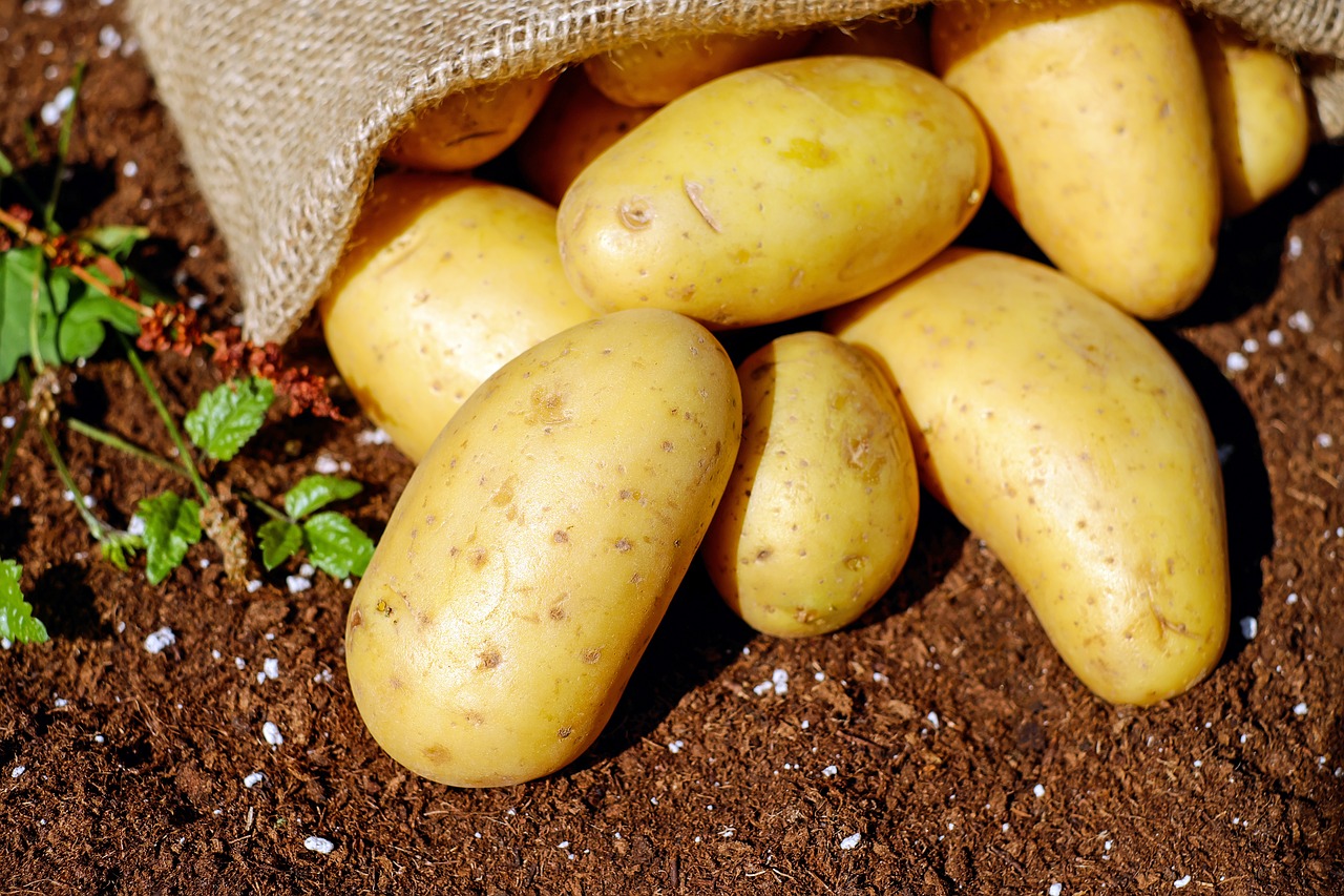 kentang - jenis masakan sayuran yang tidak boleh dipanaskan ulang