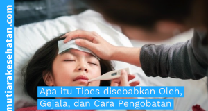 Apa itu Tipes disebabkan Oleh, Gejala, dan Cara Pengobatan